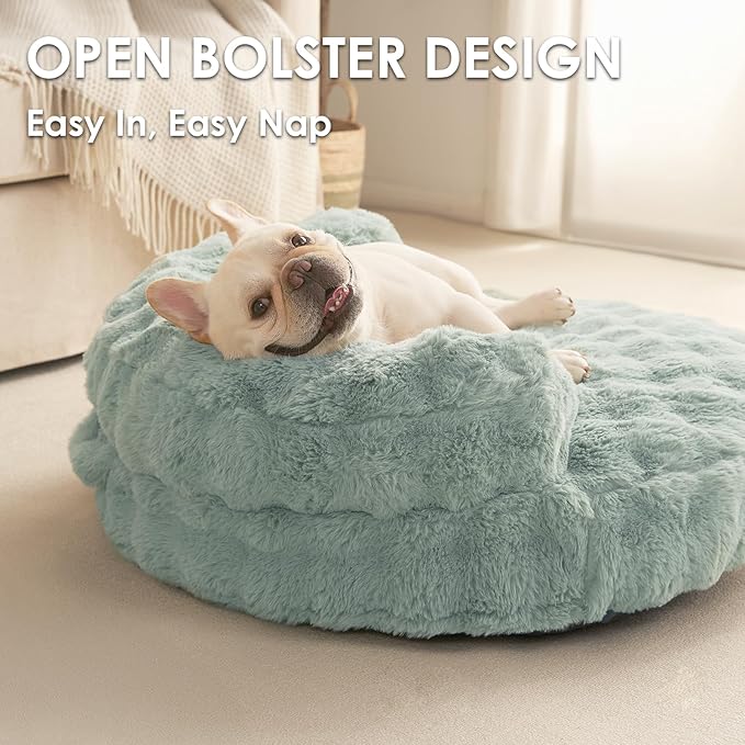 EHEYCIGA Soft Cat Couch Bed for Indoor Cats, Fluffy Small Dog Bed with Removable Washable Cover, Bolster Pet Sofa, Waterproof and Non-Slip, 26" x 26"x 8", Green