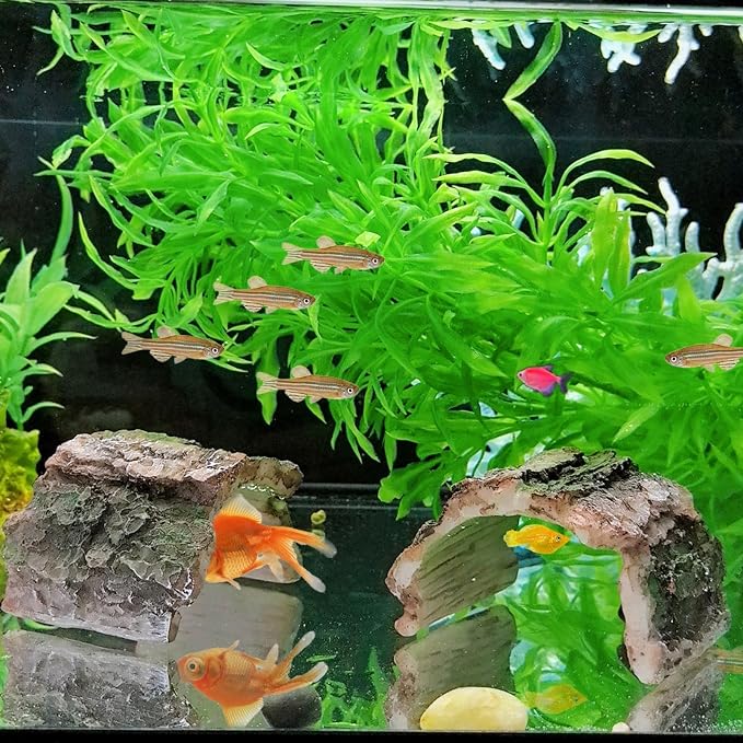 2 Pack Small Betta Log Resin Hollow Tree Trunk Ornament, Aquarium Hideout Reptile Cave Tarantula Hide Terrarium Tank Decor for Fish Shrimp or Small Reptile Scorpion Spider Hermit Crab