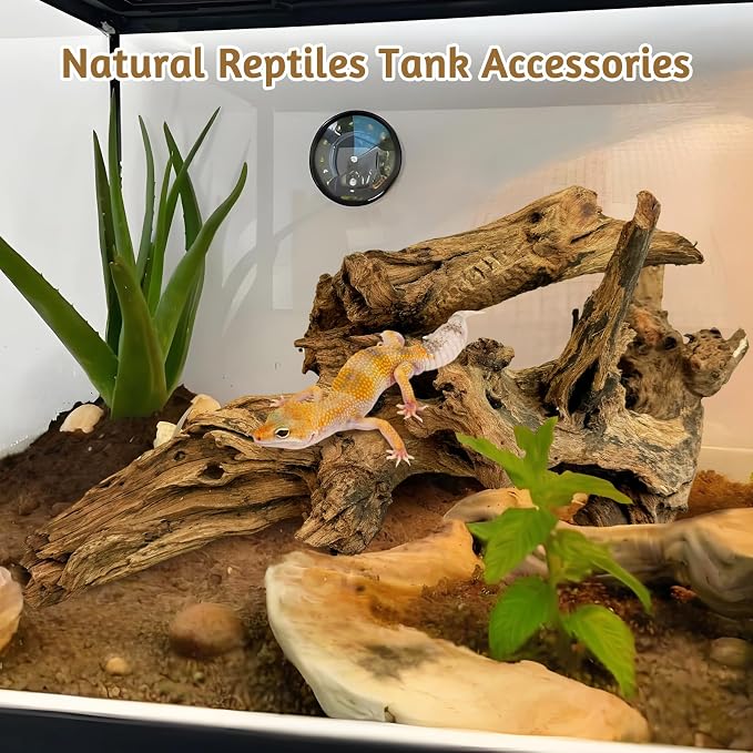 kathson Large Natural Aquarium Driftwood Reptiles Branches Terrarium Ornament Sinkable Wood Decor Trunk Fish Tank Log Habitat Decoration (11"-17")