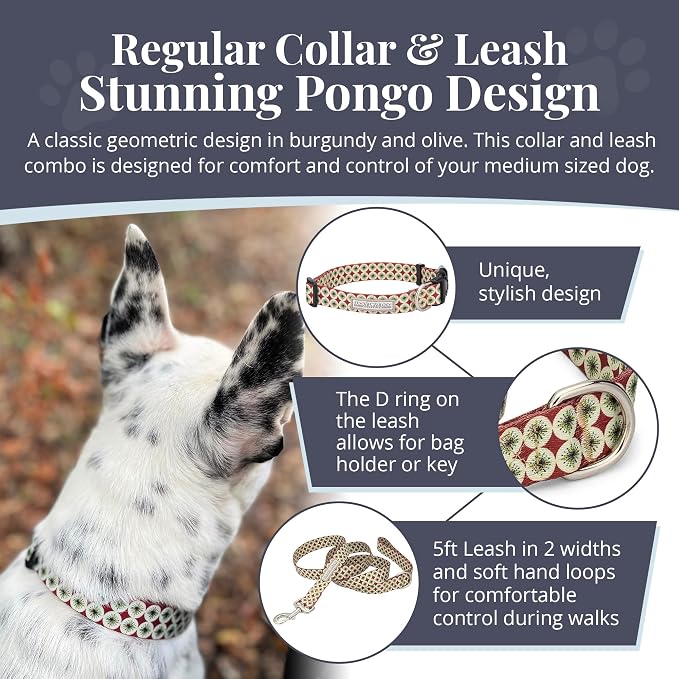 Lucky Love Dog - Easy Click Buckle Dog Collar with Leash Set Combo, Durable & Comfortable for Male & Female Dogs, Pet Collar for Medium Dogs, Secure Fit - Pongo Combo, Medium