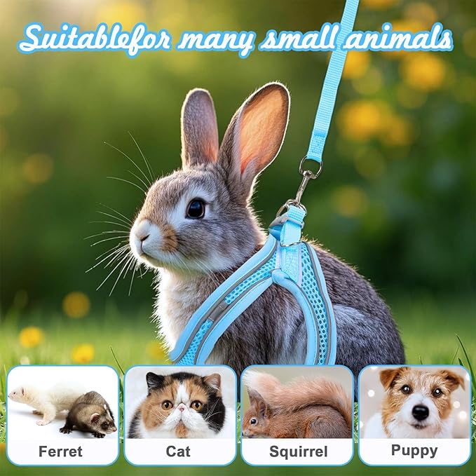 PETKNOWS 2 Pack Rabbit Harness and Leash Set, Double Buckle Bunnies Harness with Reflective Strips Soft Breathable Mesh Vest Harness for Rabbits Walks Accessories(Blue and Black)