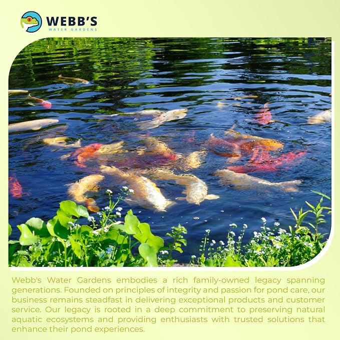 Webb's Water Gardens Essential Tap Water Conditioner Dechlorinator - Ideal for Ponds, Freshwater & Aquariums - Concentrated Formula for Dechlorinated Water - Liquid Supplies for Aquatic Pets - 32oz