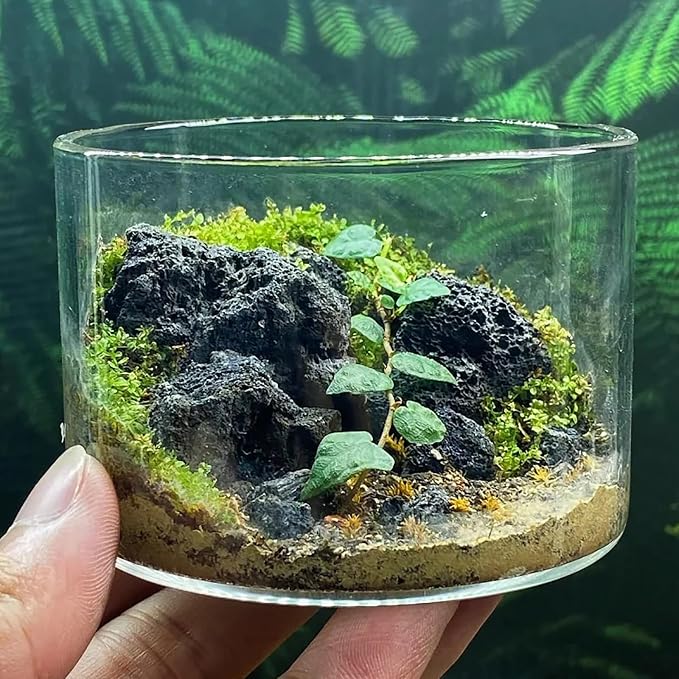 Natural Volcanic Lava Rock 1-2.5 Inches Decorative Stones for Miniature & Fairy Gardens,Aquascaping Aquariums,Fire Pit Use & Succulent Planters-2lb