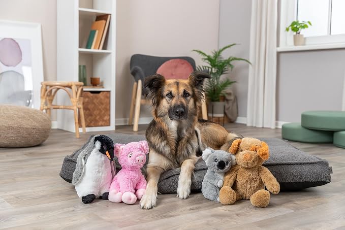 Be Eco Elly the Koala Plush Dog Toy for All Dogs, 8.5" Fun and Cuddly Squeaky Dog Toy, 97% Recycle Material
