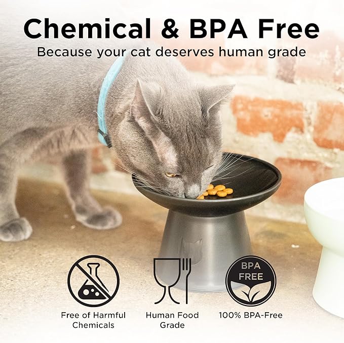 Necoichi 2pcs Extra Wide Elevated Cat Food Bowls – BPA-Free Plastic Raised Bowls to Reduce Whisker & Neck Fatigue – Dishwasher Safe – Non-Slip, Anti-Vomiting Ergonomic Design (Urban Fog)