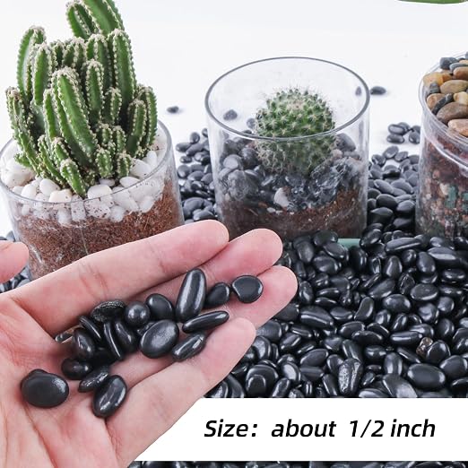 CJGQ 45lb 1/4" Small Pebbles Black for Plants,Potting,Succulents Aquarium Fish Tank Vases Decorative Garden Polished Gravel Rocks Stones