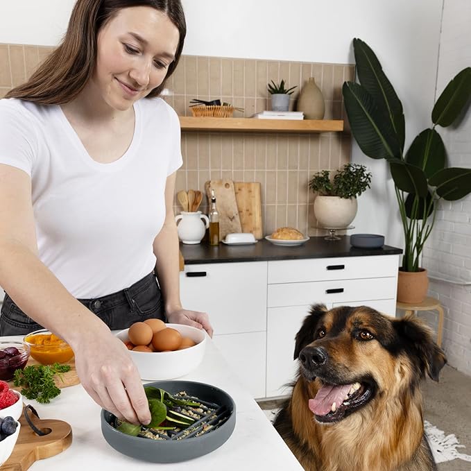 Should We Go? Slow Feeder for Dogs & Puppies, The Slowdown Bowl Silicone Slow Eating, Modern Lick Mat Design, Reduces Gulping, Fits 2 Cups, 7.5” Across x 1.5” Tall, Mealtime Challenge, Medium-Charcoal