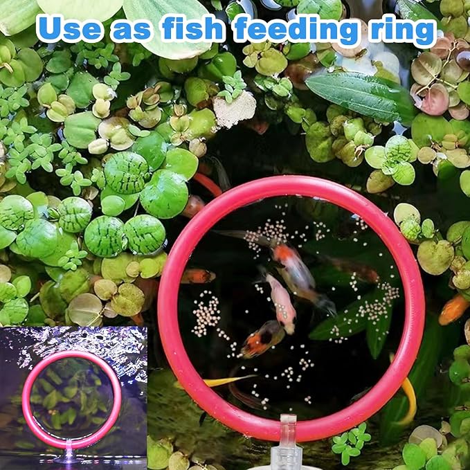 Betta Fish Toys - 4 Training Rings & 2 Bio Filter Balls, Beta Exercise Loop Toys and Nitrifying Balls Set, Betta Fish Tank Accessories Feeding Ring for Small Tank Decor Aquarium Water Conditioner
