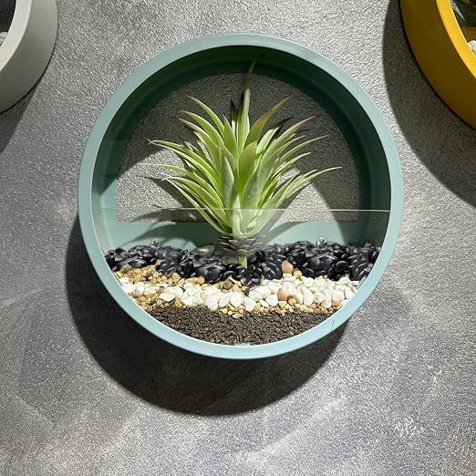 Pulovin 5 lbs Black Pebbles for Indoor Plants, Succulent, Bamboo, Vase, 3/8" Plant Rocks for Pots Indoor, Small River Rocks Decorative Pea Gravel, Highly Polished