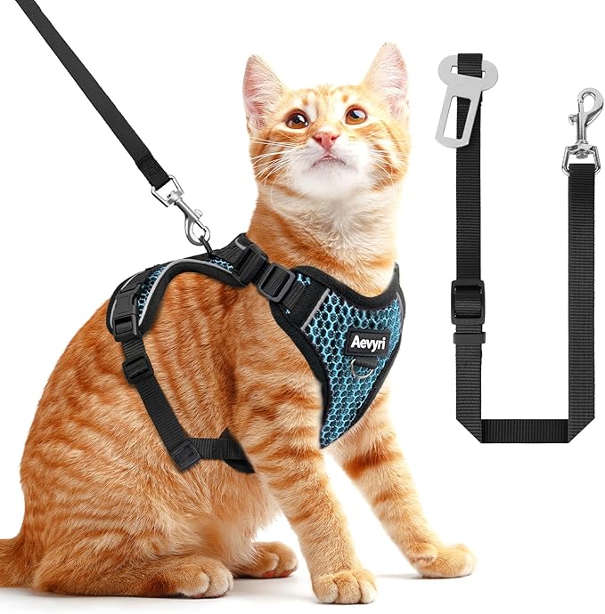 Cat Harness and Leash for Walking Escape Proof Soft Adjustable Cat Leash Breathable Honeycomb Structure Comfortable Vest Easy to Wear Kitten Harness for Outdoor Travel, Honeycomb Blue, M