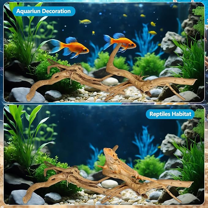 3 PCS Large Natural Spider Wood for Aquarium 10-12", Aquarium Drift Wood, Assorted Size Spider Wood, Twisted Branches Trunk for Fish Tank, Aquascaping, Reptile Climbing Branch, Terrarium Decor