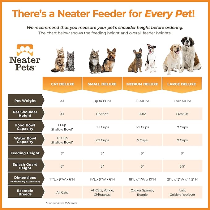 Neater Pet Brands Neater Feeder Deluxe Mess Proof Cat Bowls Elevated, Made in USA, No Spill Raised Bowls for Indoor Cats, Stainless Steel Food and Water Bowl Set, Pet Dish Feeding Station, Black