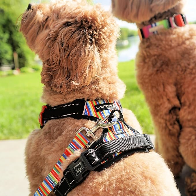 Lucky Love Dog Harness, Easy to Walk, No Pull Dog Harness, Adjustable Custom Fit (Hippie, Small)