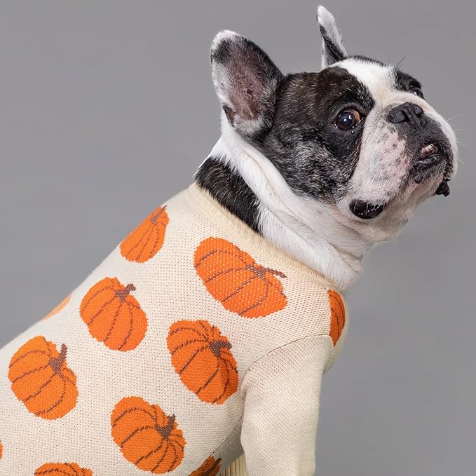 Fitwarm Pumpkin Dog Sweater, Thanksgiving Outfit for Small Dogs Boy Girl, Pet Outfit, Orange, Beige, XL