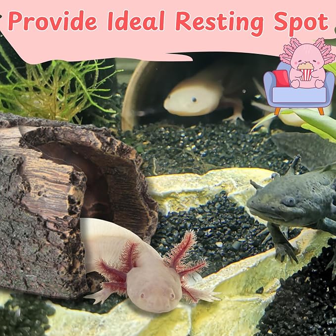 1pcs Axolotl Hides for Aquarium with 2pcs Nitrifying Ball Set, Driftwood Axolotl Cave Hideout and Aquarium Filter Balls, Fish Tank Decor, Shelter for Small Pet Frog Fish Betta (Resin Driftwood, M)