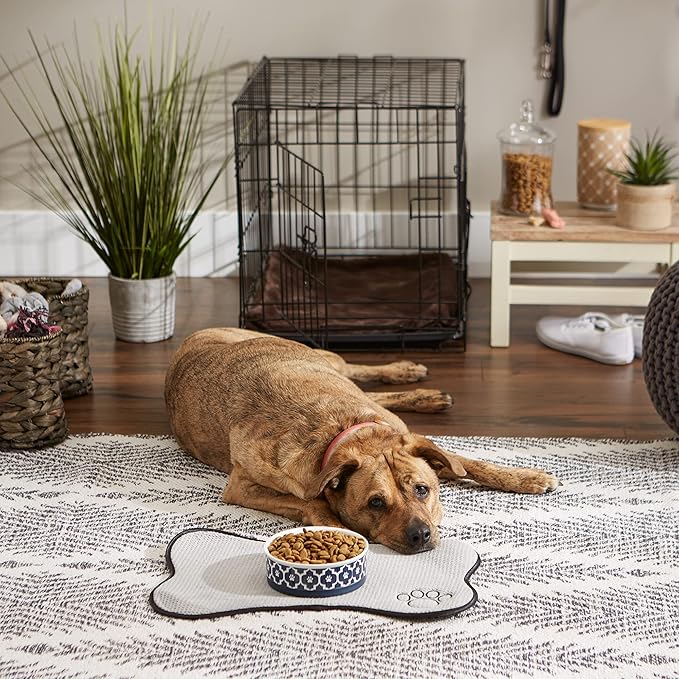 Bone Dry Lattice Collection Pet Bowl & Canister, Single Dish, Medium 6x2", Nautical Blue