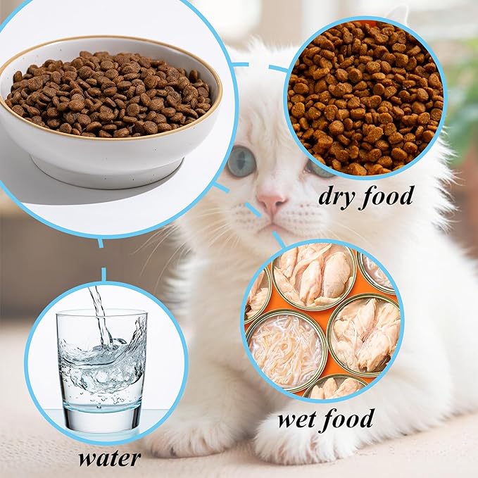 Cat Bowl, Ceramic Small Pet Bowl Pack of 3, Dishwash Safe Pet Food and Water Bowl Dishes for Small Dog, Fat Faced Cat, Kitten, Rabbits Puppy Birds(Safe Food-Grade Ceramic), White
