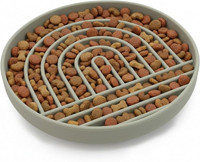 Should We Go? Slow Feeder for Dogs & Puppies, The Slowdown Bowl Silicone Slow Eating, Modern Lick Mat Design, Reduces Gulping, Fits 2.5 Cups, 9.5” Across x 1.5” Tall, Mealtime Challenge, Large-Sage