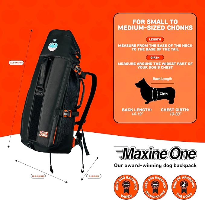 Maxine One Dog Backpack Carrier for Medium Dogs by Little Chonk | Adjustable & Ergonomic Front Facing Dog Carrier Backpack | Built to be Safer | Pet Backpack Carrier Featured in Wired Magazine - Gray