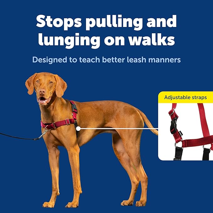 PetSafe Easy Walk Harness for Dogs - Pull-Free Walks - Patented Martingale Loop Design - Front Chest Leash Attachment - Comfort Straps - Breathable Harness Design - Medium, Red/Black