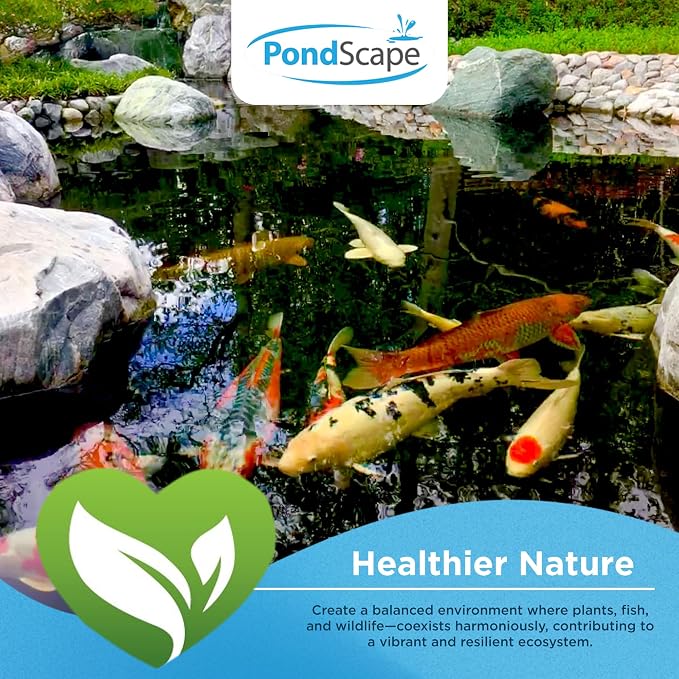 PONDSCAPE Harmony Beneficial Bacteria – Natural Clarifier Packets for Ponds, Waterfalls & Fountains – Supports Visual Clarity & Healthy Water Balance – 12 Packets