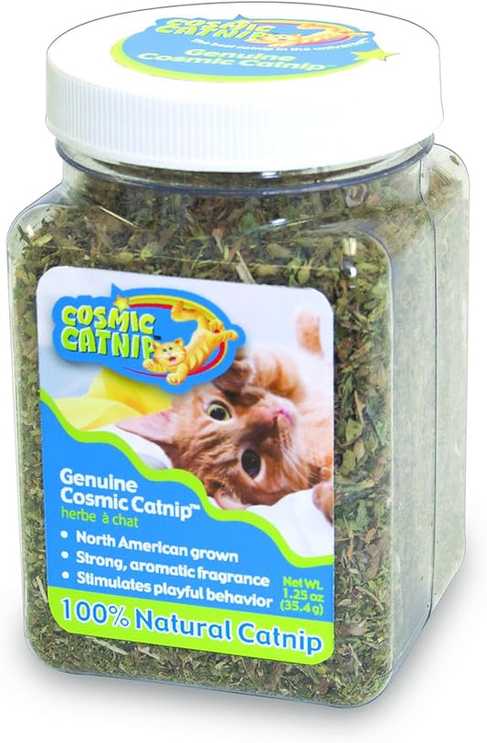 OurPet's Premium Catnip - 1.25 oz Jar of High Potency Catnip - 100% North American Grown