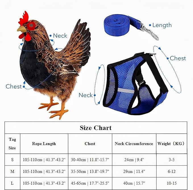 3 Pack Chicken Harness and Leash Set Adjustable Hen Vest with Matching Belt Breathable Mesh Training Harness Pets Leash for Hens Duck Goose Small Pet-Green&Purple&Blue,L