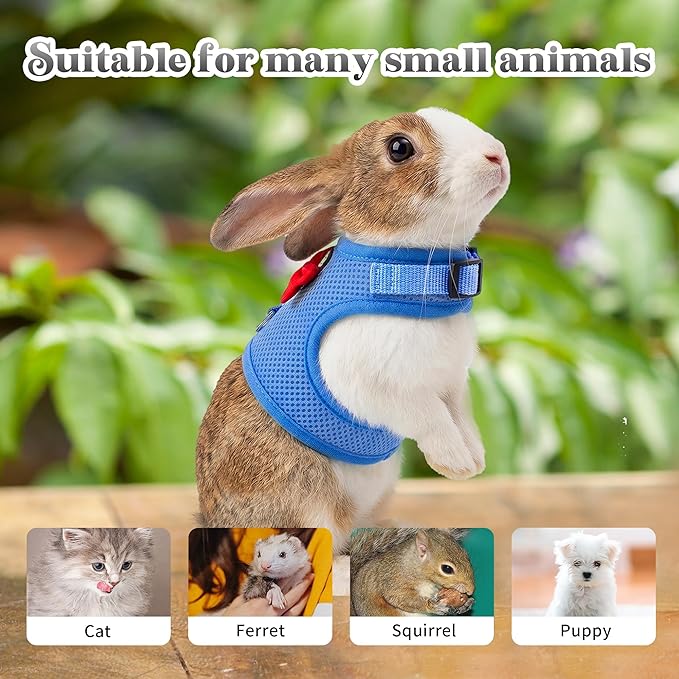 AIITLE Bunny Harness and Leash Set with Cute Bow, Soft Breathable Mesh Vest Harness for Rabbits Kitten Ferret Small Pig Puppy Walking Supplies Blue M