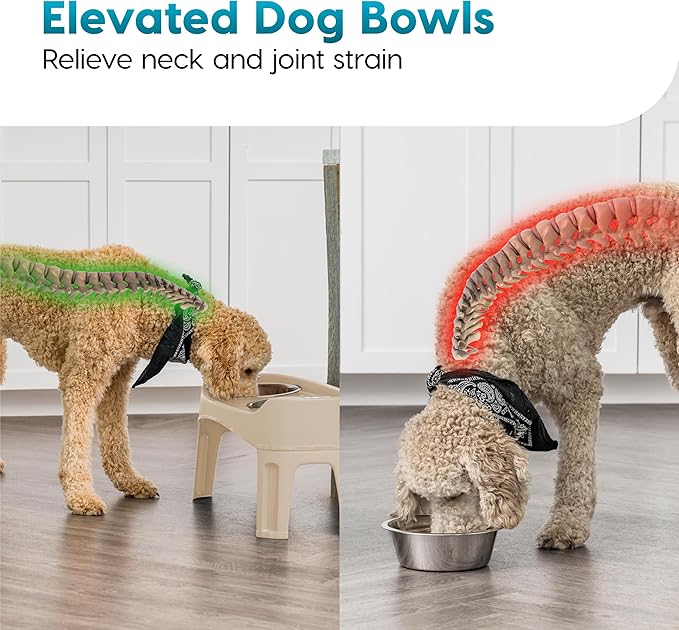 IRIS USA Elevated Dog Bowls Adjustable Stand, Raised Feeding Station with 2 Stainless Steel 64 oz Bowls, Spill Guard, Dual Height 12.25" or 4.63", Made in USA, Almond