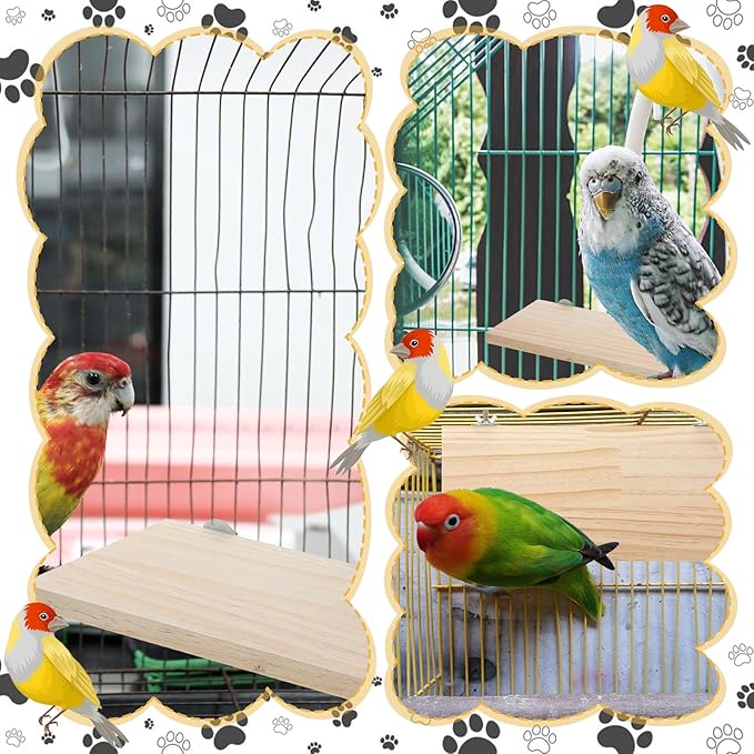 6 Pack Bird Perch Stand, Parrot Wood Platform 12.3×6.1 Inch Rectangle Wood Bird Platform for Parrots Birds Budgie Parakeet Cockatiel Hamster Chinchilla Gerbil