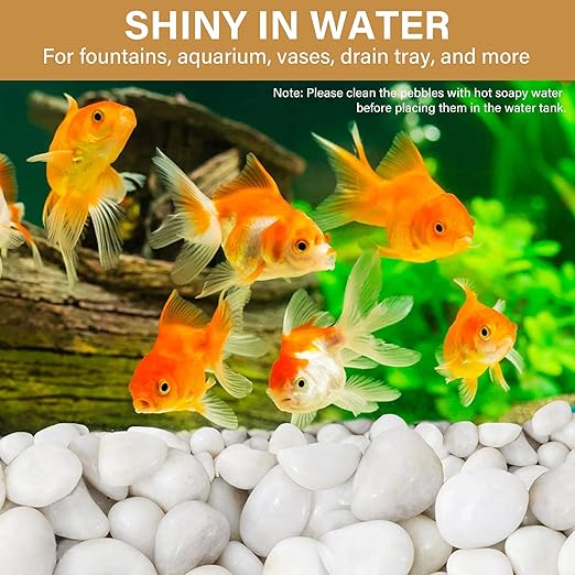 NUPICK 12lb White River Rocks for Plants Indoor, 2-3Inch White Pebbles for Vases Fillers, Decorative Gravel for Fish Tank, Natural Polished Stones for Succulent, Bonsai, Landscaping, Bird Baths
