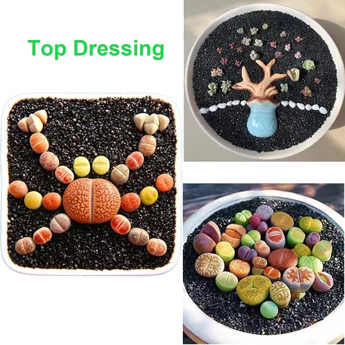 Boniosz 2.4lb Succulents and Cactus Black Sand, Décor & Additive Tiny Stones,DIY Rocks Gravel for Bonsai, Fairy Gardening, Terrarium, Vases Fillers