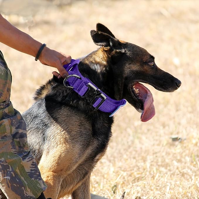 Celifelight Tactical Dog Collar Military Dog Collar Adjustable Nylon Dog Collar Heavy Duty Metal Buckle with Handle for Dog Training,with Patches(Purple, M)