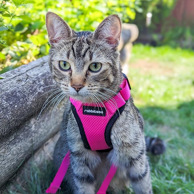 rabbitgoo Cat Harness and Leash for Walking, Escape Proof Soft Adjustable Vest Harnesses for Cats, Easy Control Breathable Reflective Strips Jacket, Rose Red, M