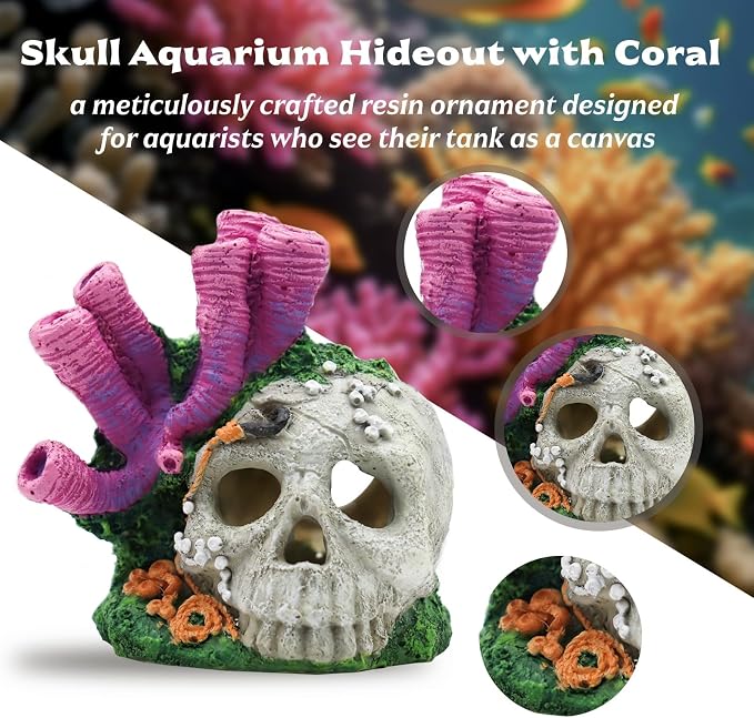 Skull Aquarium Hideout with Coral – Betta Fish Tank Decorations, Shrimp Cave & Small Fish Hideaway, Resin Underwater Skull Decor for Freshwater Aquarium