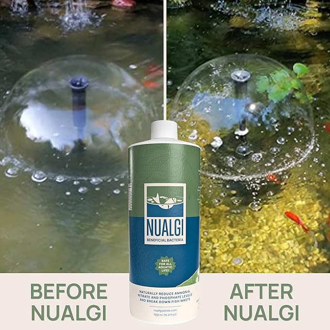 Nualgi Beneficial Bacteria, 16.9 oz Enzyme Bacteria for Freshwater & Organic Ponds, Starter Bacteria for Outdoor Water Gardens, Natural Pond Stabilizer for Fish, Pets & All Aquatic Life