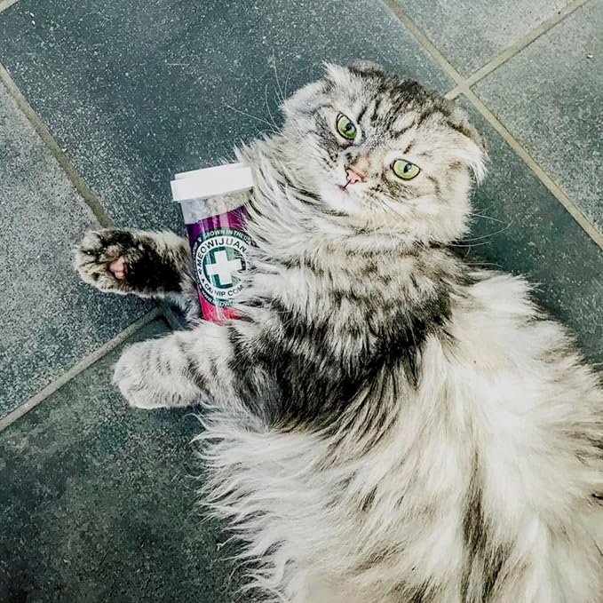 Meowijuana | Catnip Bundles | Organic | High Potency Cat Treats | Perfect for Cat Toys | Grown in The USA | Feline and Cat Lover Approved (Mice Dreams Catnip Bottle Bundle)