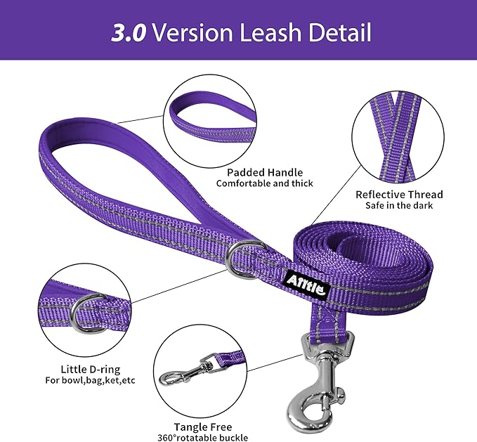 AIITLE Easy Walk Dog Harness and Leash Set - Pet Supply No Pull, Step in Adjustable Dog Harness with Padded Vest, Dog Harness No Choke Over, Easy to Put on Medium Dogs Pure Purple L