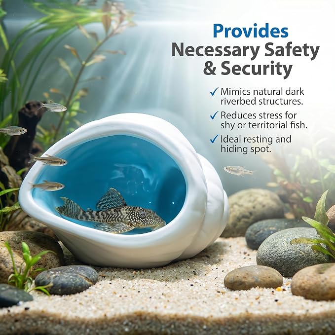 Ceramic Aquarium Cave, White Conch Shell Betta Fish Tank Decor | Smooth Glaze and Rounded Edges Create a Roomy Hideout for Betta Fish, Shrimp, Pleco and Dwarf Cichlids; 5.91 x 3.74 x 3.35 in