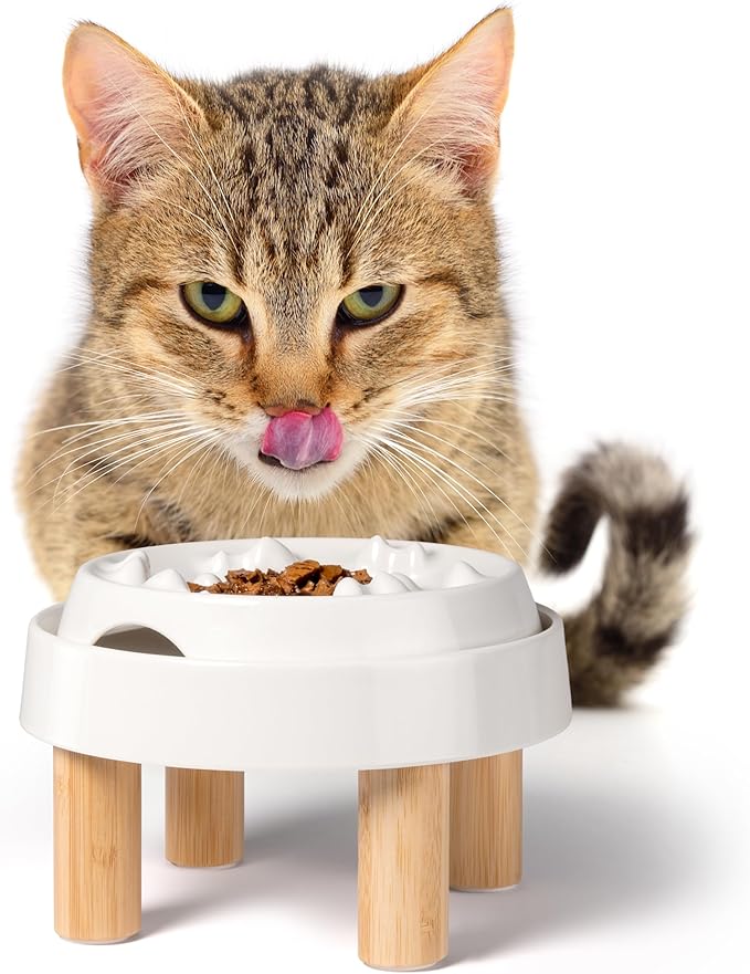 CatGuru Cat Bowls, Whisker Friendly Food Bowl for Indoor Cats, Reliefs Whisker Fatigue, Wide Kitten Dish, Non Slip Pet Dishes, Shallow Pet Plates