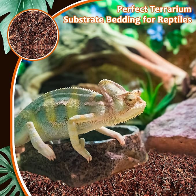 Riare 2 Pack Natural Coconut Fiber Substrate, Coco Coir Reptile Bedding | Coconut Husk Reptile Substrate for Tortoises, Hermit Crabs, Snakes, Bearded Dragon, Geckos, Reptile Enclosure/Terrarium Setup
