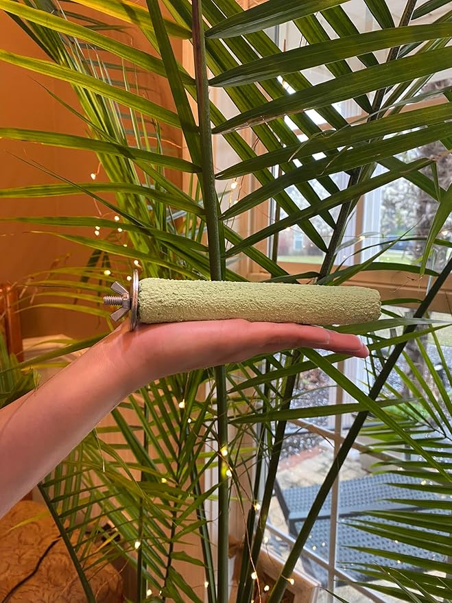 Polly's Pastels Nail Trimming & Beak Conditioning Safety Perch for Cockatiels, Cockatoos, Macaws, Parakeets, Budgies, Parrots and All Other Birds (Green, Small-1" Dia. x 6" Long)