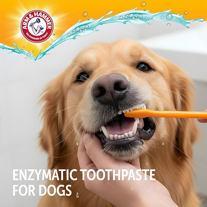 Arm & Hammer Complete Care Enzymatic Dog Toothpaste with Baking Soda and Calcium, Fluoride-Free Chicken Flavor for Plaque, Tartar, and Fresh Breath, 6.2 Oz Value Size