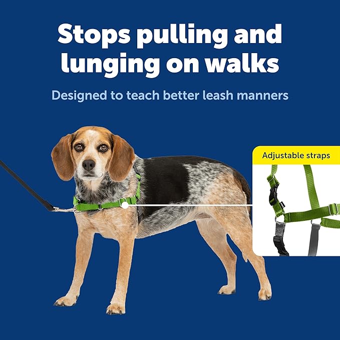 PetSafe Easy Walk Harness for Dogs - Pull-Free Walks - Patented Martingale Loop Design - Front Chest Leash Attachment - Comfort Straps - Breathable Harness Design - Small/Medium, Apple Green/Gray