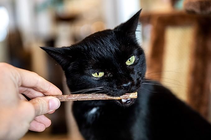 Meowy Janes 20 Ct Mini Matatabi Cat Chew Sticks - an All Natural Silvervine Cat Toy and Treat - Catnip Alternative
