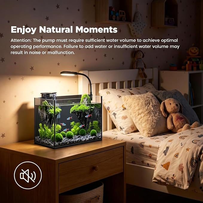 2 Gallon Small Fish Tank Starter Kit with Light, Filter and Mountain Decor | Desktop Betta and Shrimp Habitat with Lid, Gravel, Plants and Aquascaping Tools for Beginners