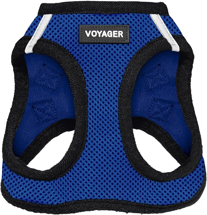 Best Pet Supplies Voyager Step-in Air Harness - All Weather Mesh, Reflective, No Pull Harness for Dogs, Cats - Secure with Hook & Loop Fastener, Buckle, Double D-Rings - Royal Blue/Black Trim, M