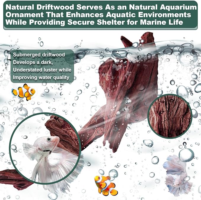 Natural Wood Driftwood for Aquarium Fish Tank Decor,Assorted Driftwood Trunk Branch for Reptile Tank Decor (MOP-ZYM Driftwood Branch (16 to19 Inch)-Pack of 2)