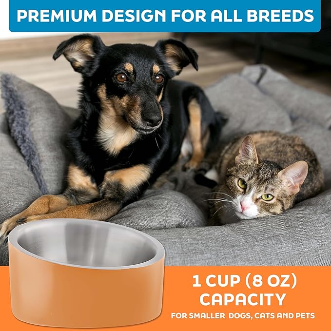 Master Pet Supply Stainless Steel Slanted Dog Cat Food Bowl - 8 oz Heavy Duty - Mango Tango, Double Wall Insulated, Non-Slip Elevated Bowl for French Bulldogs Pugs Cats, Anti Rust Dishwasher Safe