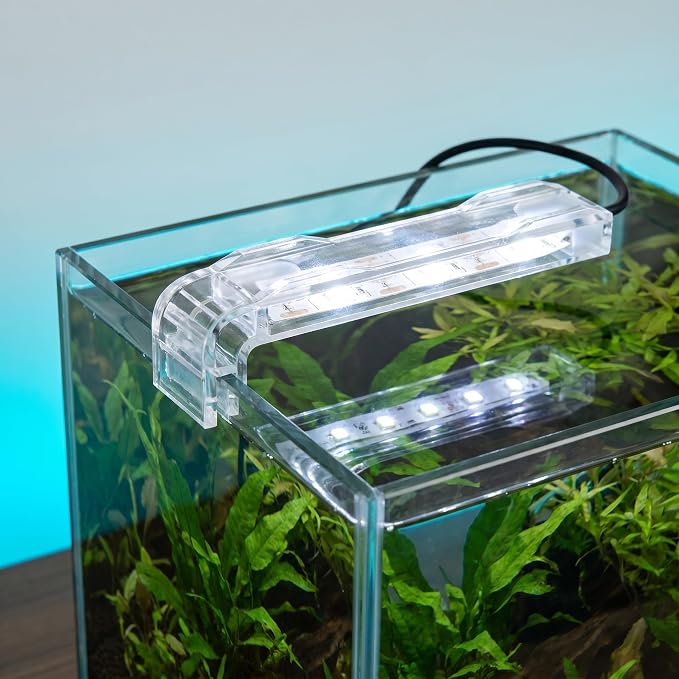 Small Multicolor Aquarium LED Light for Fish Tanks and Bowls | Compact clip-on LED lamp adds multicolor lighting to small aquariums, desktop fish bowls, plant tanks and terrariums